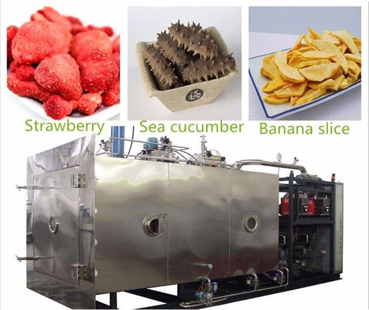Vacuum Food Freeze Dryer manufacturers