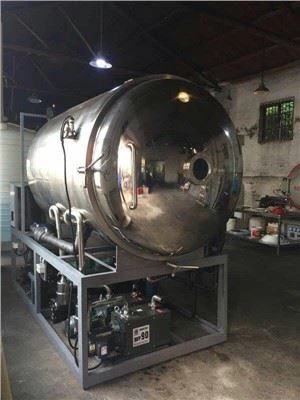 Сублимационная сушилка для пищевого теплопроводящего масла на 100 кг