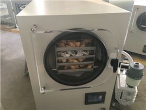 Вакуумная сублимационная сушилка для пищевых продуктов «Жёлтый персик»