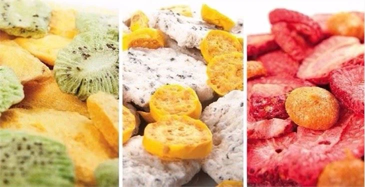 China Vacuum Food Freeze Dryer